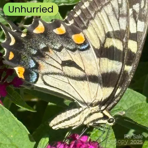 $1,255,000 | 580 Freemont Drive, Leicester, NC 28748