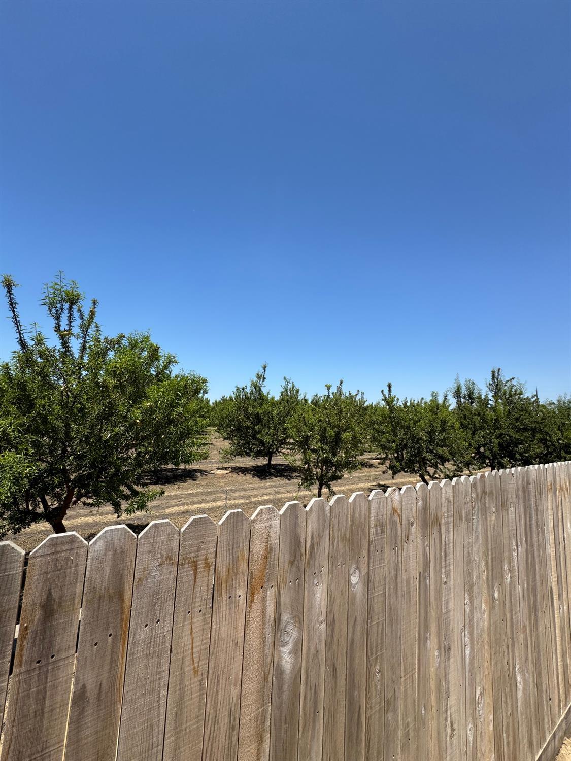 1905 George Avenue Sanger, CA 93657 - Photo 23 of 23