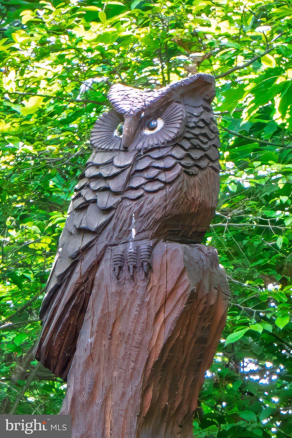 635 Laurel Ridge Road Reinholds, PA 17569 - Photo 55 of 63 The Laurel Ridge Road Mascot :)