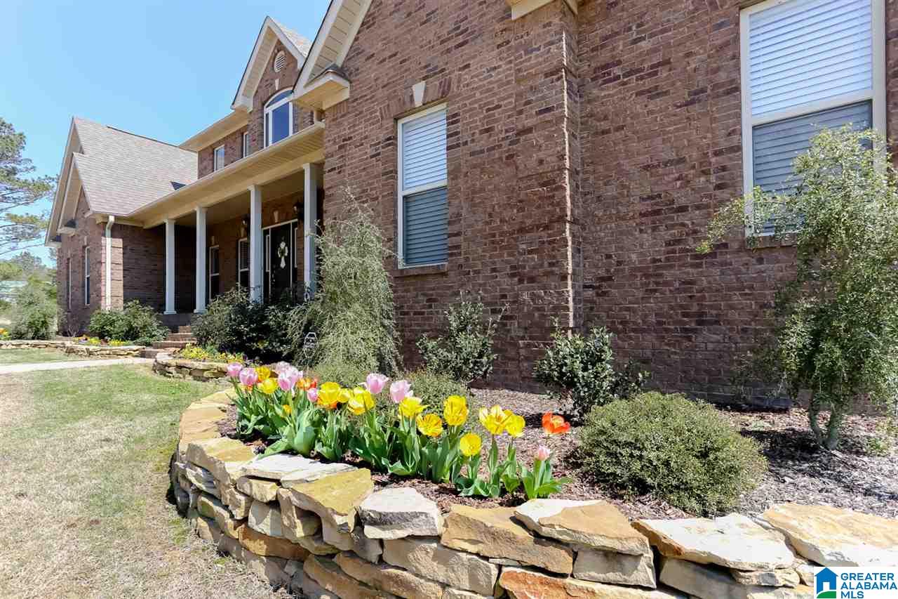 2494 Crawford Cove Road Springville, AL 35146 - Photo 6 of 50