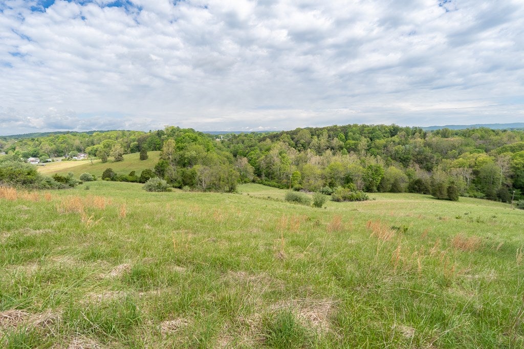 Tbd Reed Creek Mill Road Wytheville, VA 24382 - Photo 9 of 22 Gallery Image 9