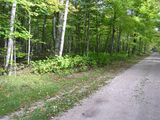 Henning Road Washington Island, WI 54246 - Photo 1 of 1