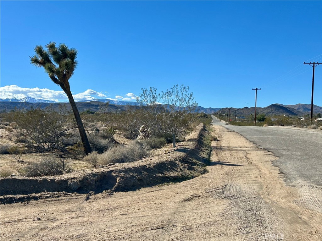 0 Old Woman Springs Road Yucca Valley, CA 92284 - Photo 9 of 10 a view of a dry yard with wooden fence