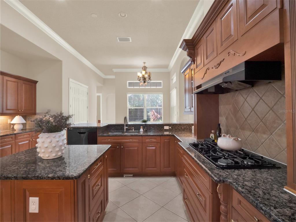 6533 Cartmel Lane Windermere, FL 34786 - Photo 7 of 36