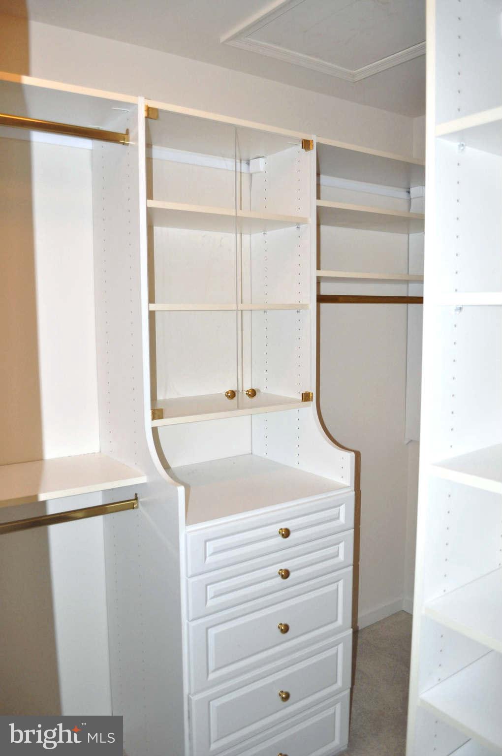 1203 Wild Hawthorn Way Reston, VA 20194 - Photo 13 of 22 Master Closet with shelving system