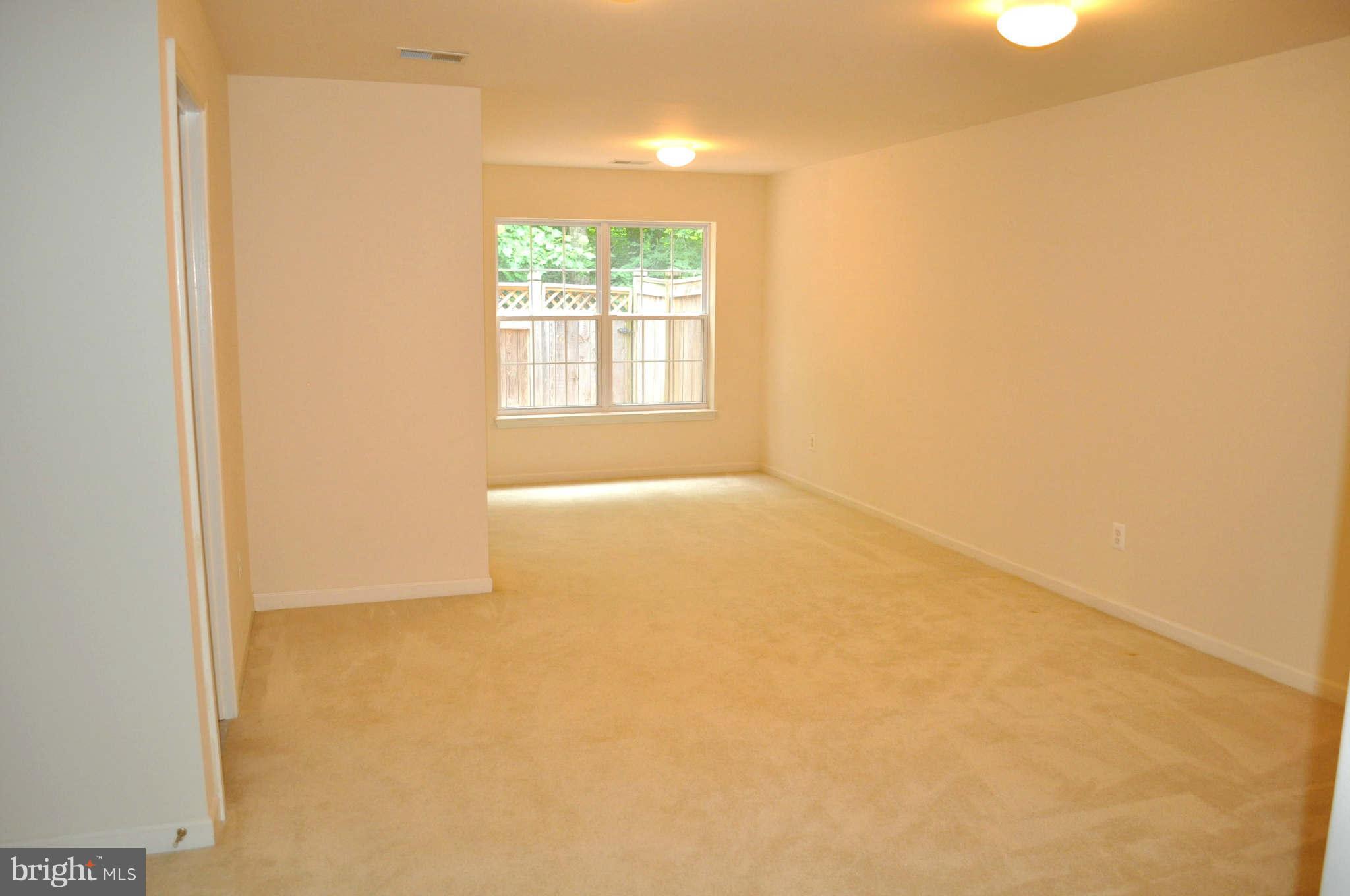 1203 Wild Hawthorn Way Reston, VA 20194 - Photo 19 of 22 Basement