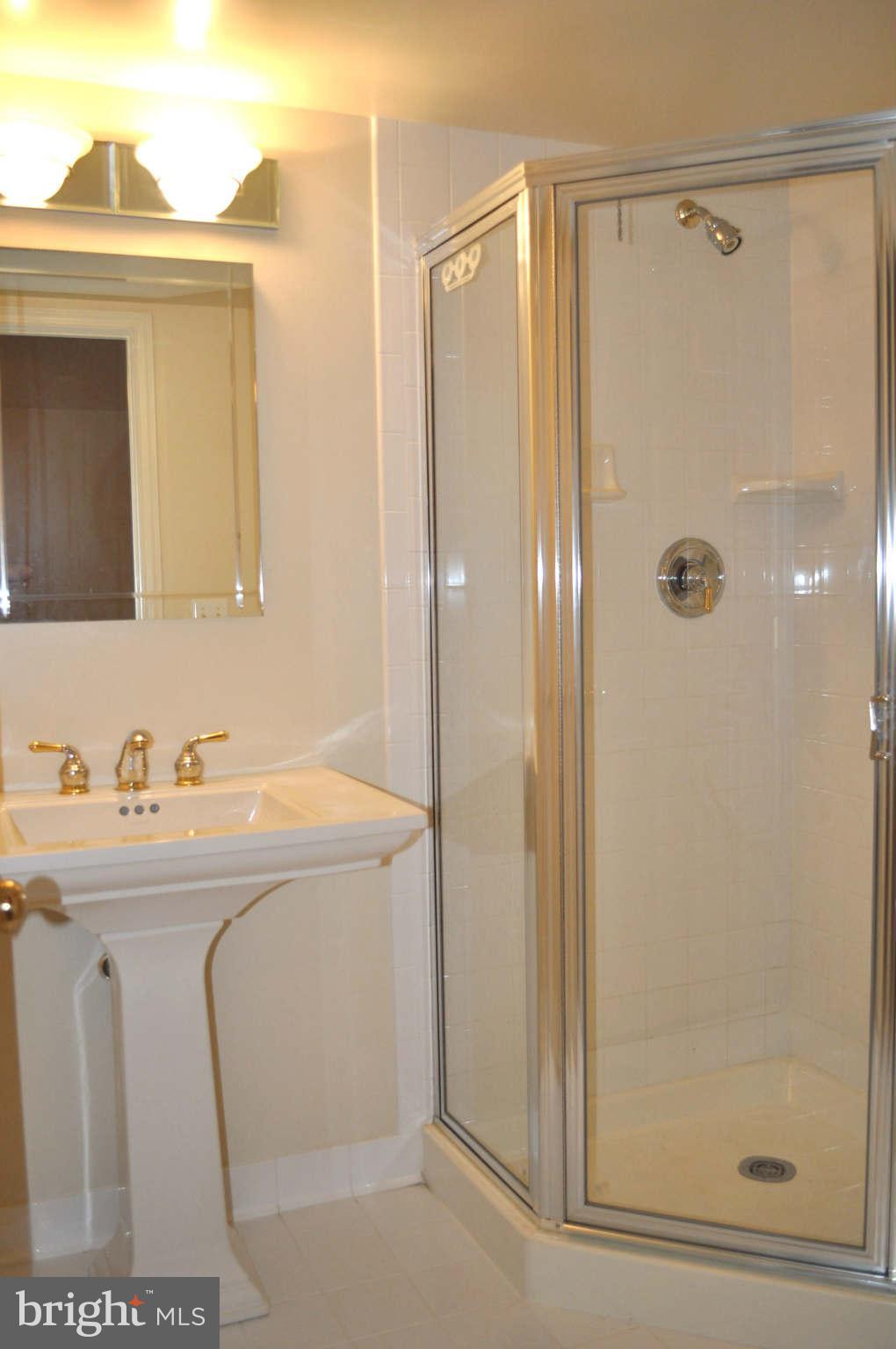 1203 Wild Hawthorn Way Reston, VA 20194 - Photo 20 of 22 Full Basement Bathroom