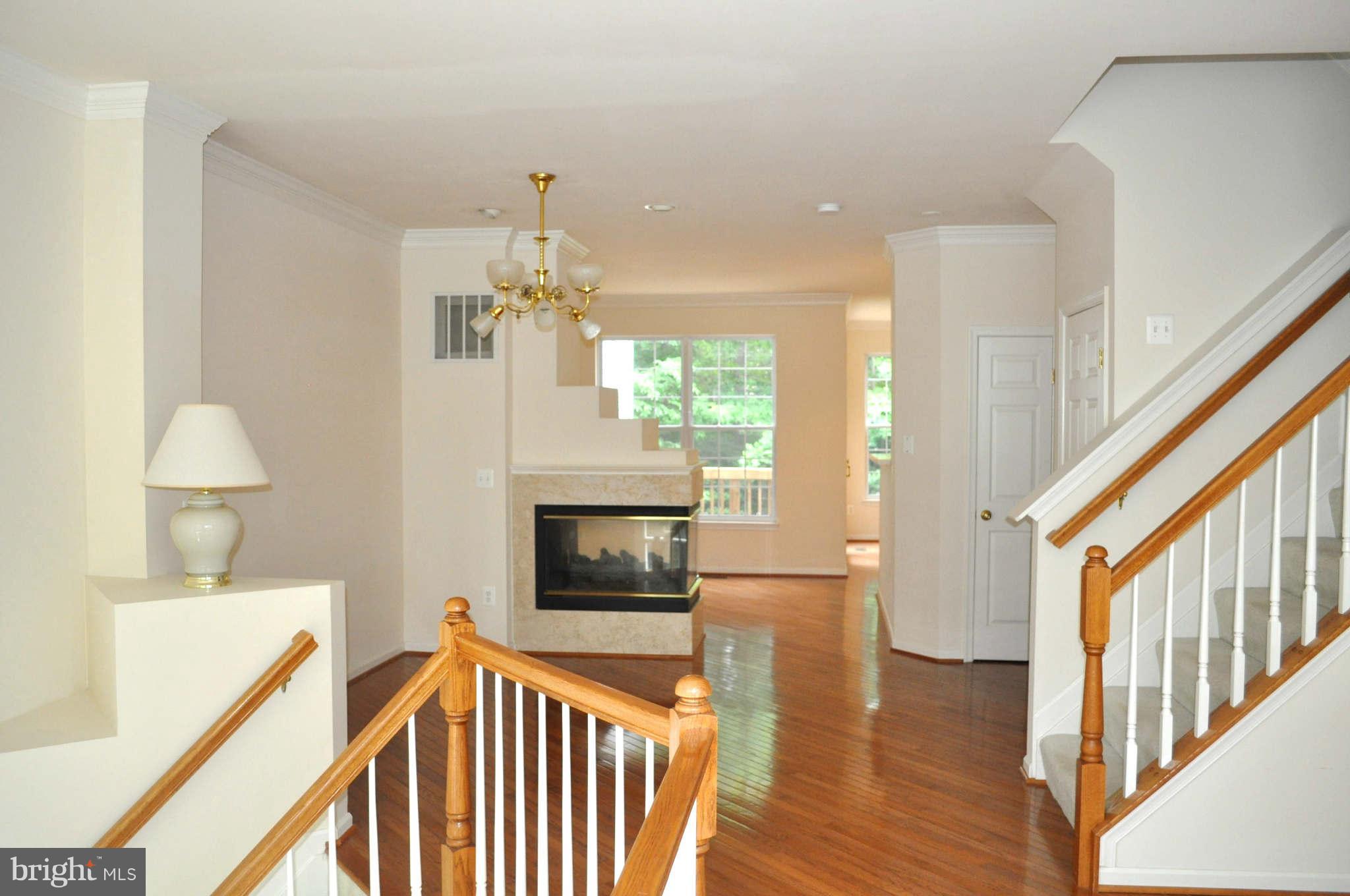 Interior (General)