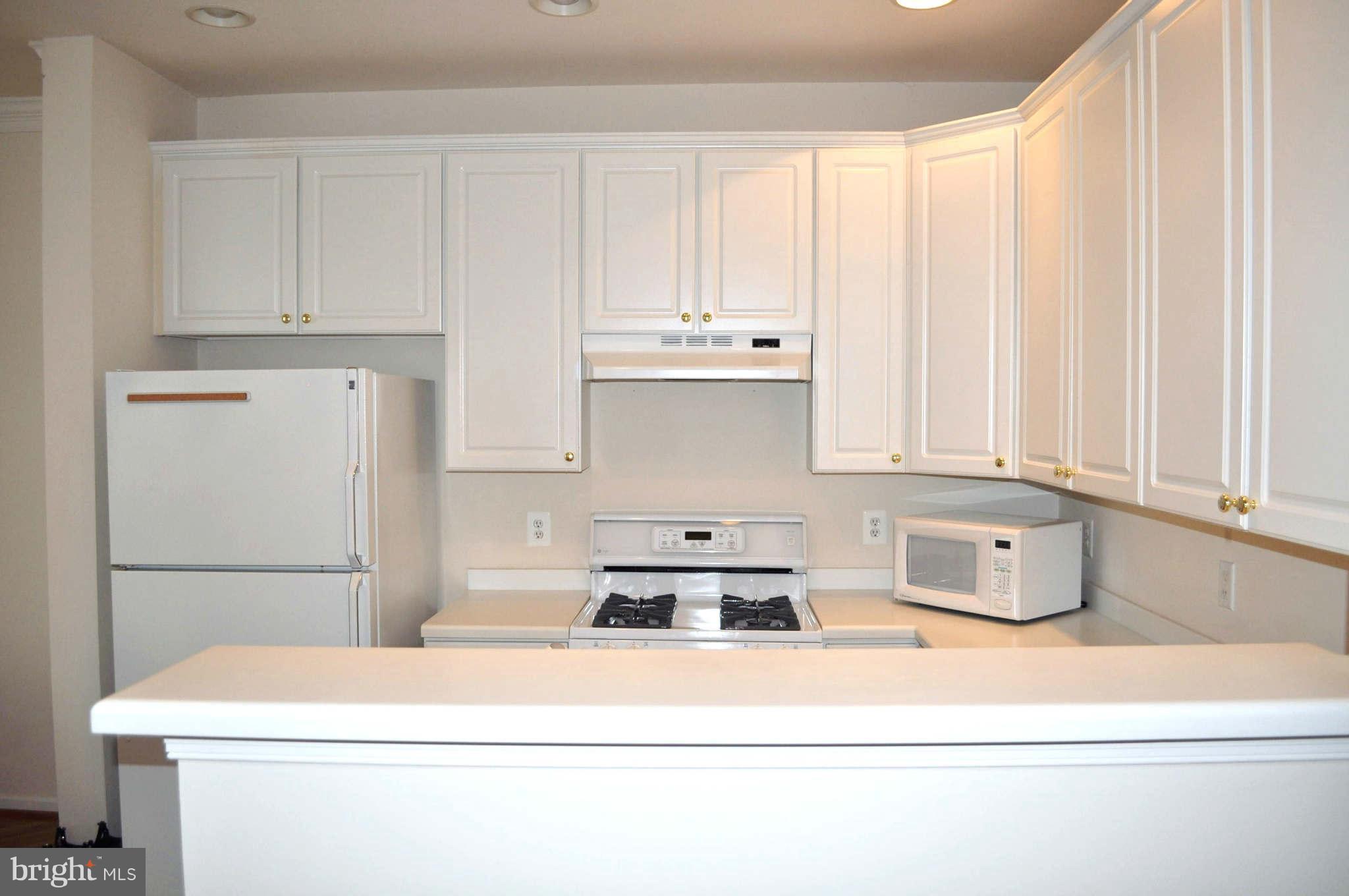 1203 Wild Hawthorn Way Reston, VA 20194 - Photo 8 of 22 Kitchen