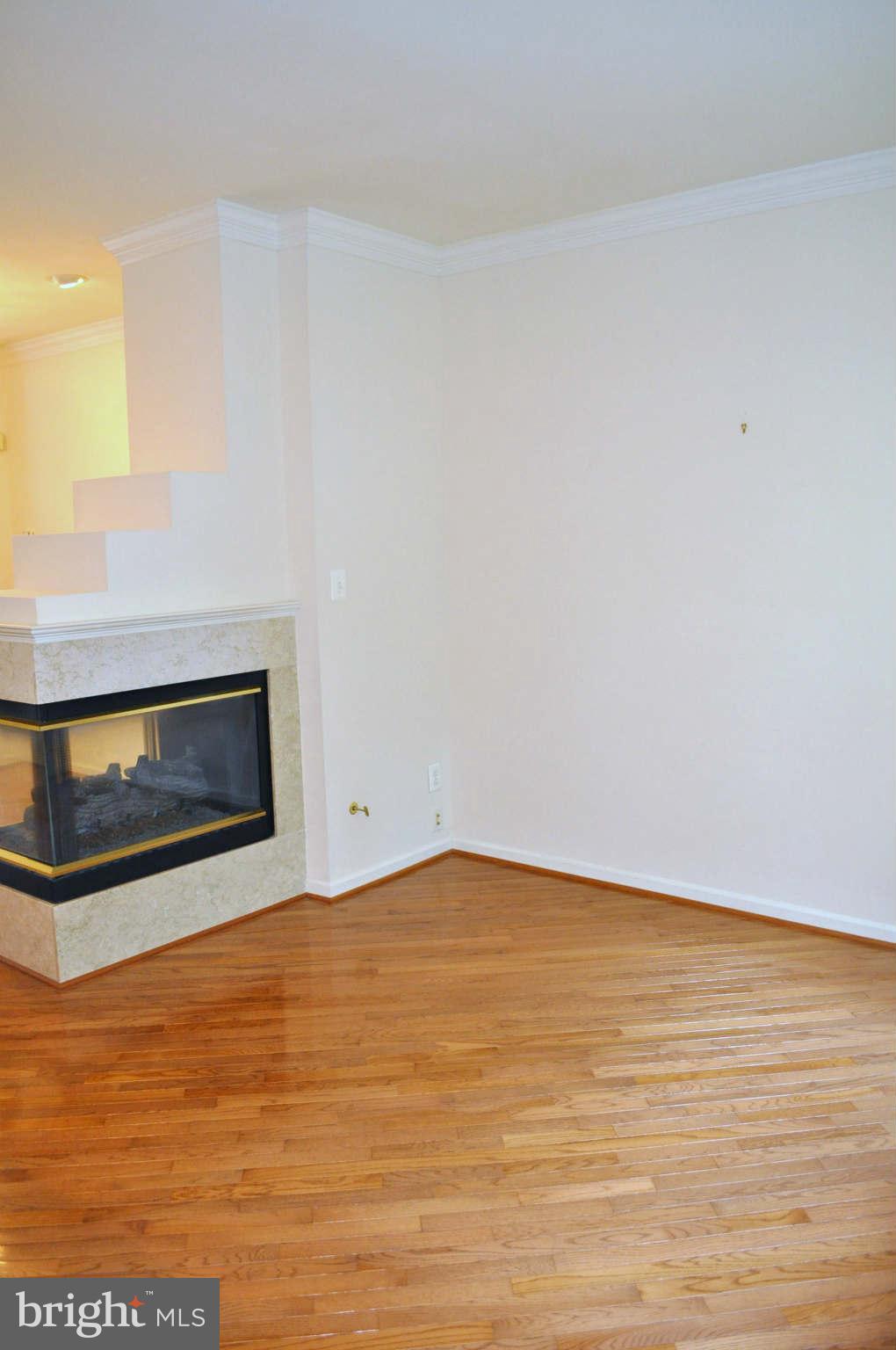 1203 Wild Hawthorn Way Reston, VA 20194 - Photo 9 of 22 Interior (General)