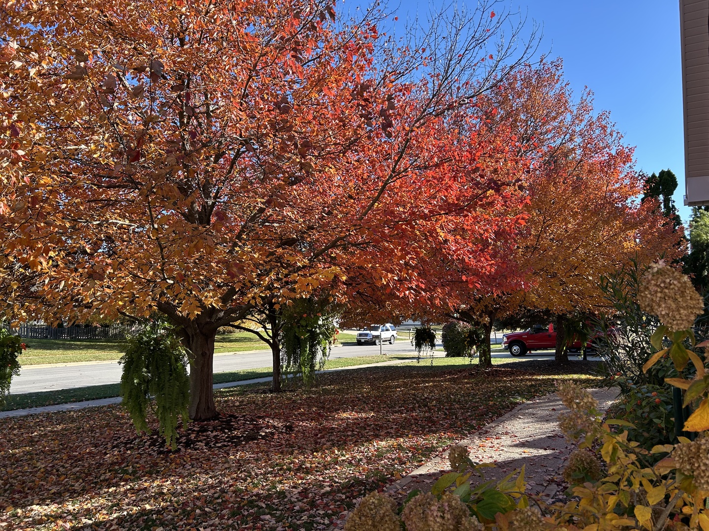 2006 Woodbine Road Bloomington, IL 61704 - Photo 9 of 98