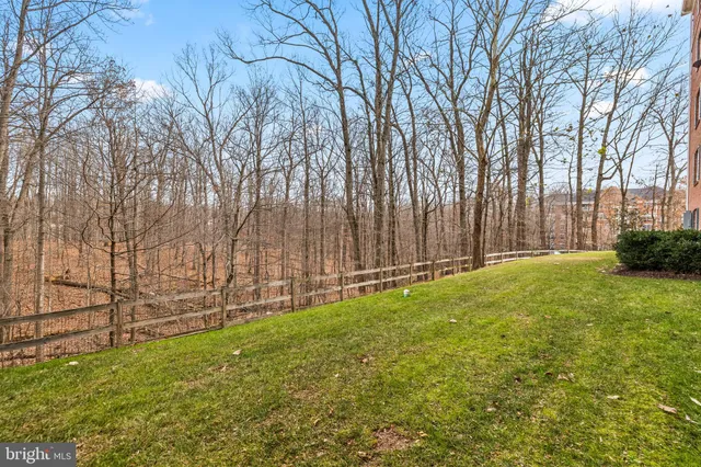 a view of backyard with pathway