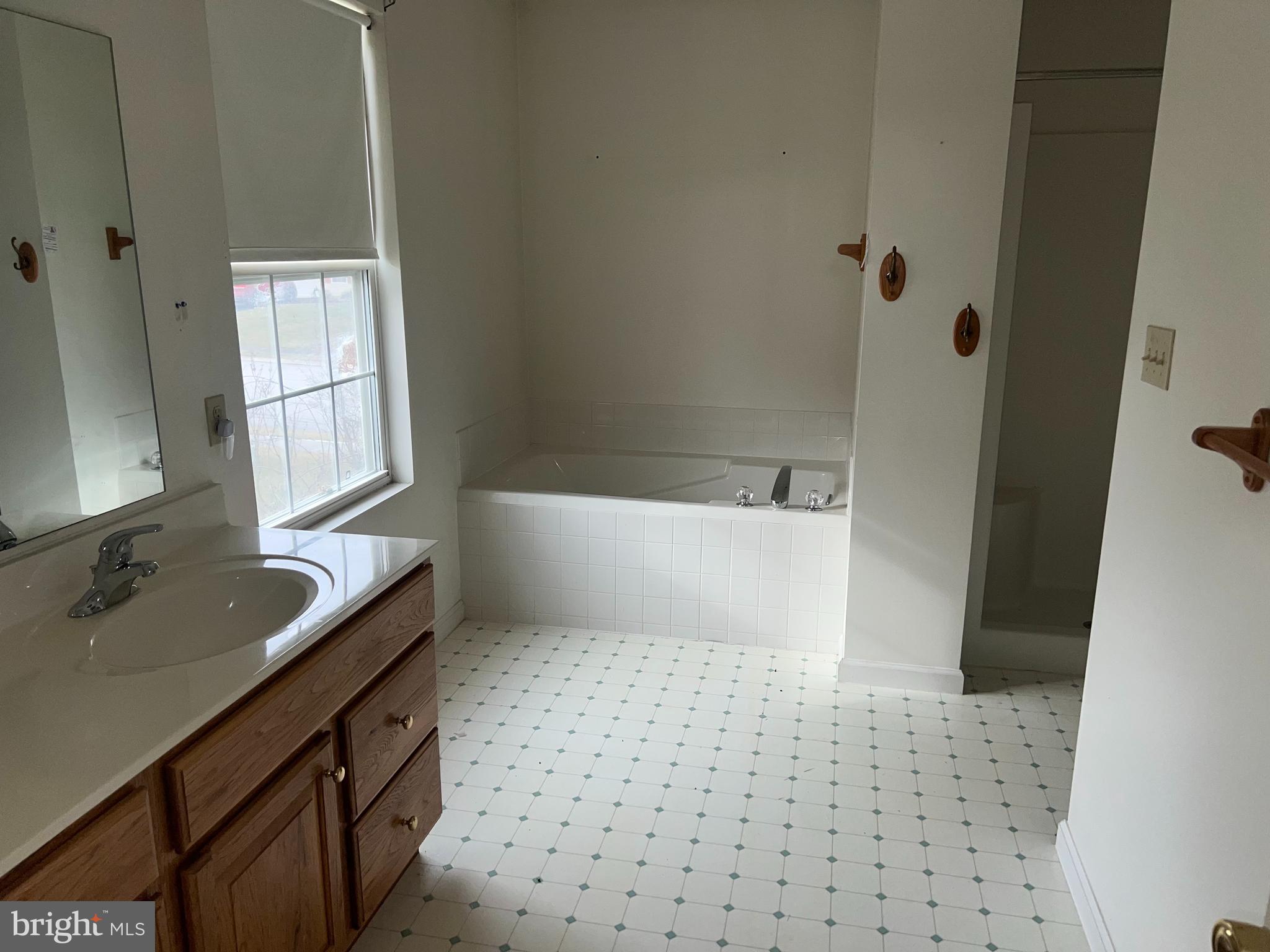 206 Hall Drive Hanover, PA 17331 - Photo 8 of 15 Primary Bath with soaking tub