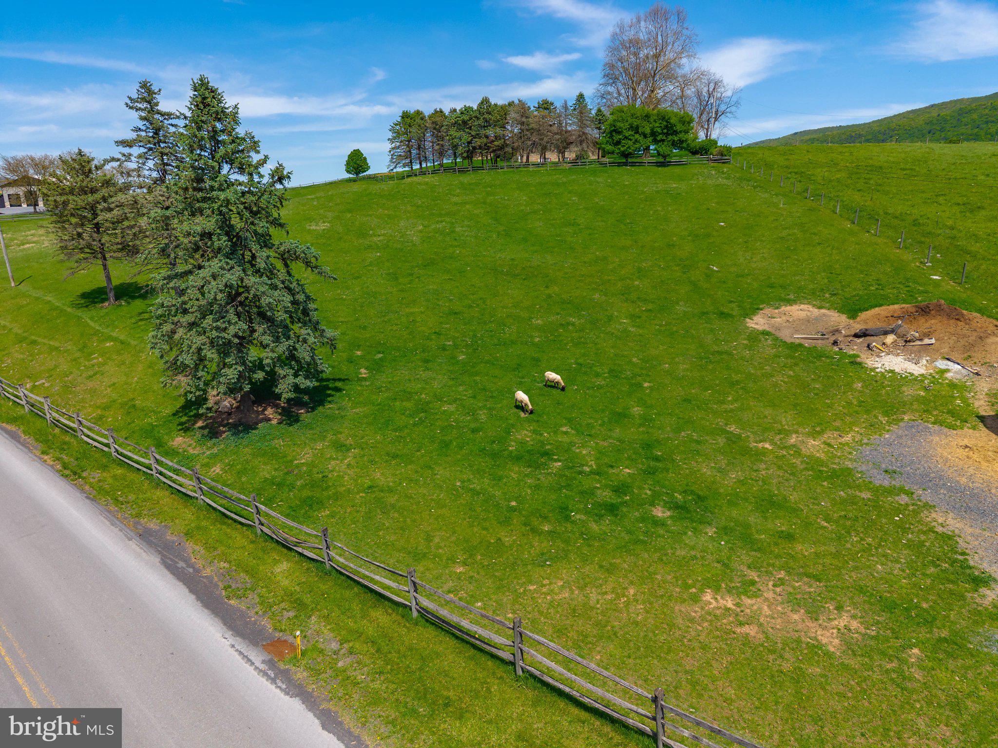 340 Applehouse Road Belleville, PA 17004 - Photo 11 of 76 Serene Pastures with Grazing Sheep