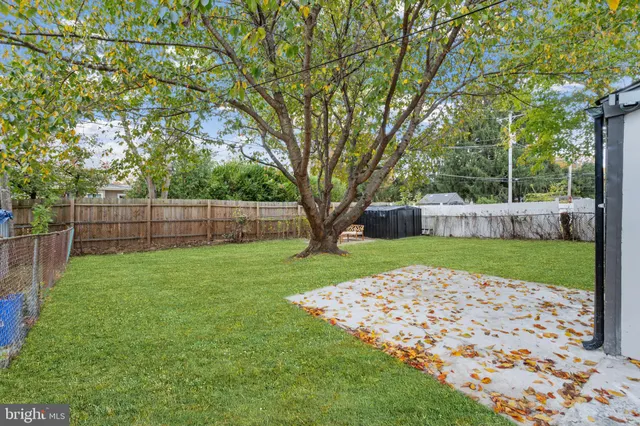 a view of yard with green space and trees in the background