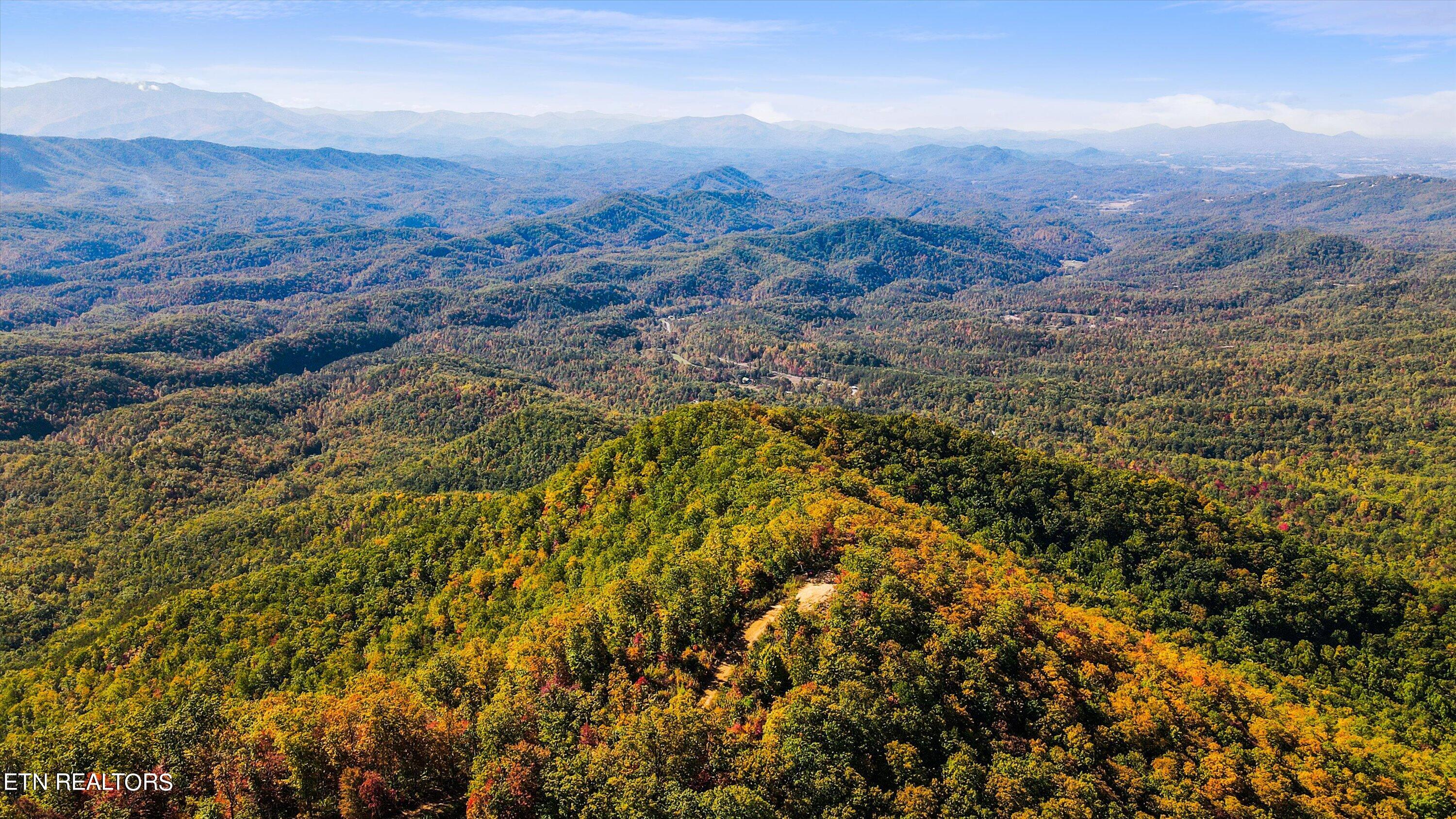 Alpine Drive Sevierville, TN 37876 - Photo 11 of 30 Alpine Drive Updates - 14
