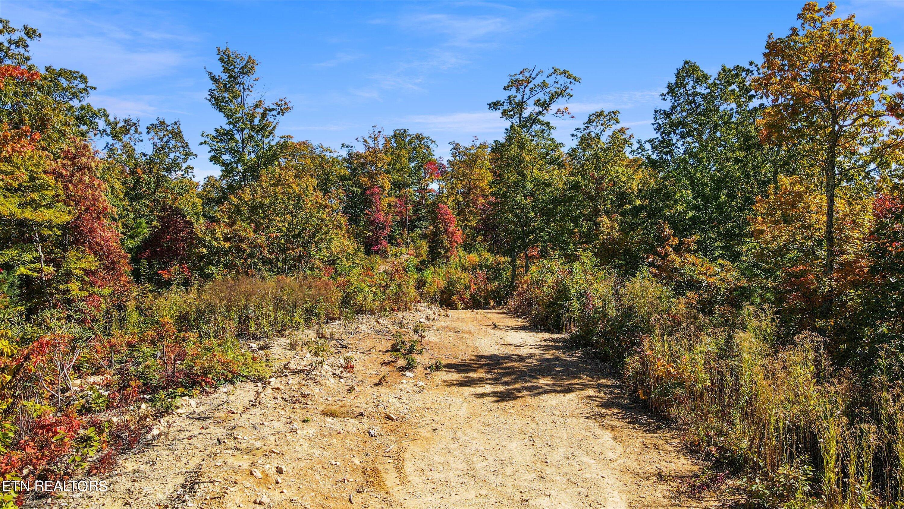 Alpine Drive Sevierville, TN 37876 - Photo 12 of 30 Alpine Drive Updates - 16