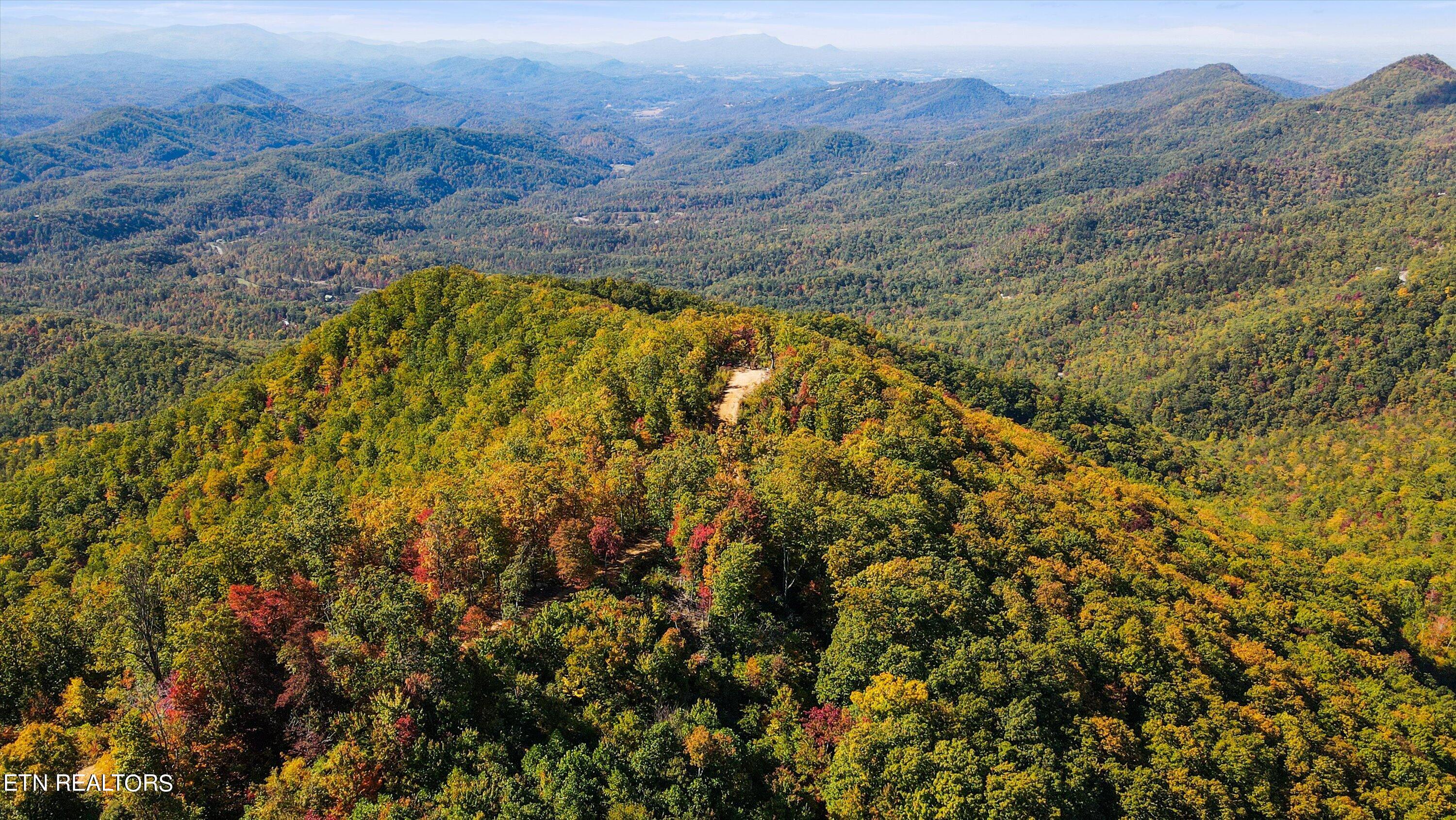 Alpine Drive Sevierville, TN 37876 - Photo 13 of 30 Alpine Drive Updates - 18