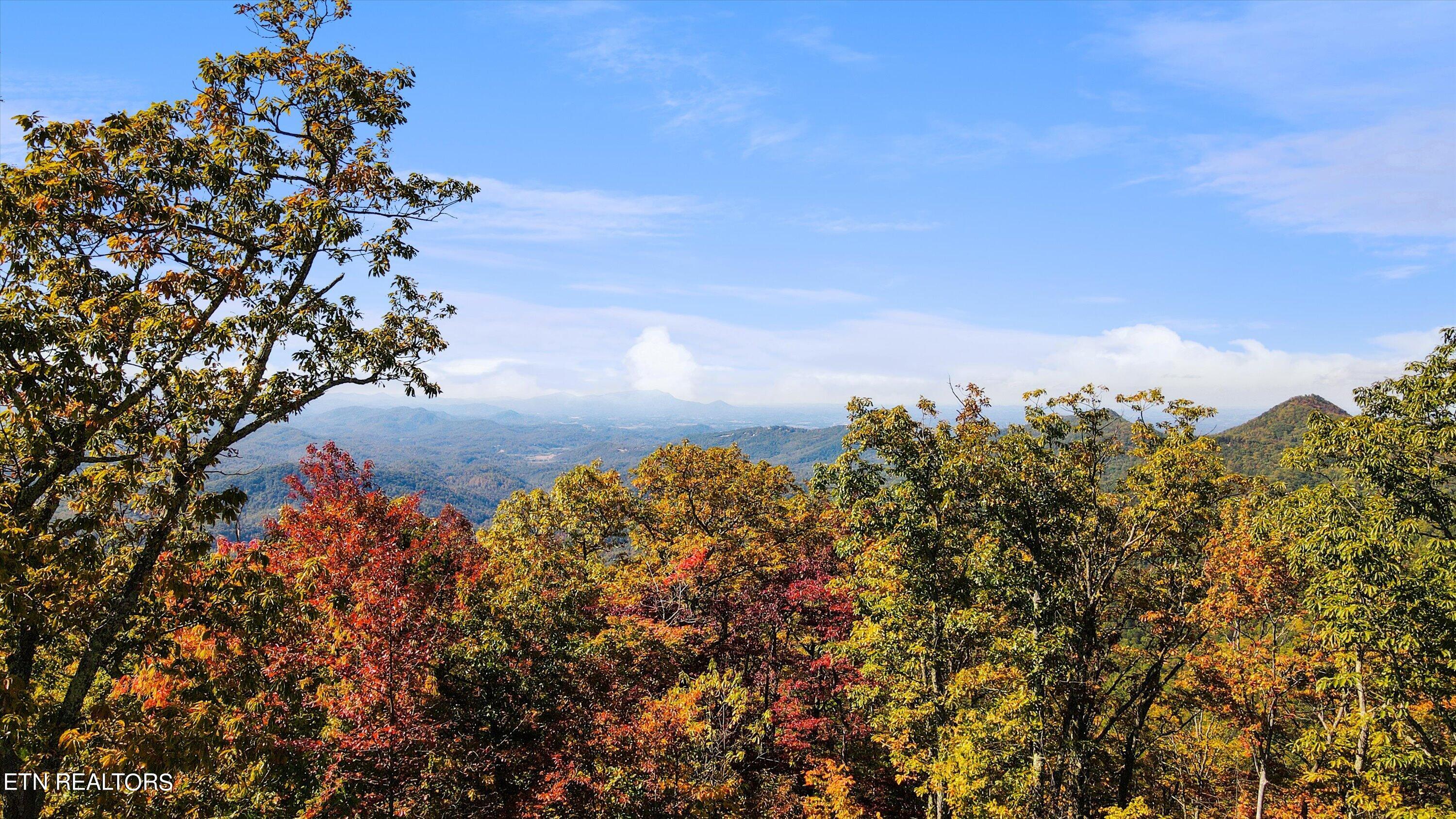 Alpine Drive Sevierville, TN 37876 - Photo 14 of 30 Alpine Drive Updates - 19