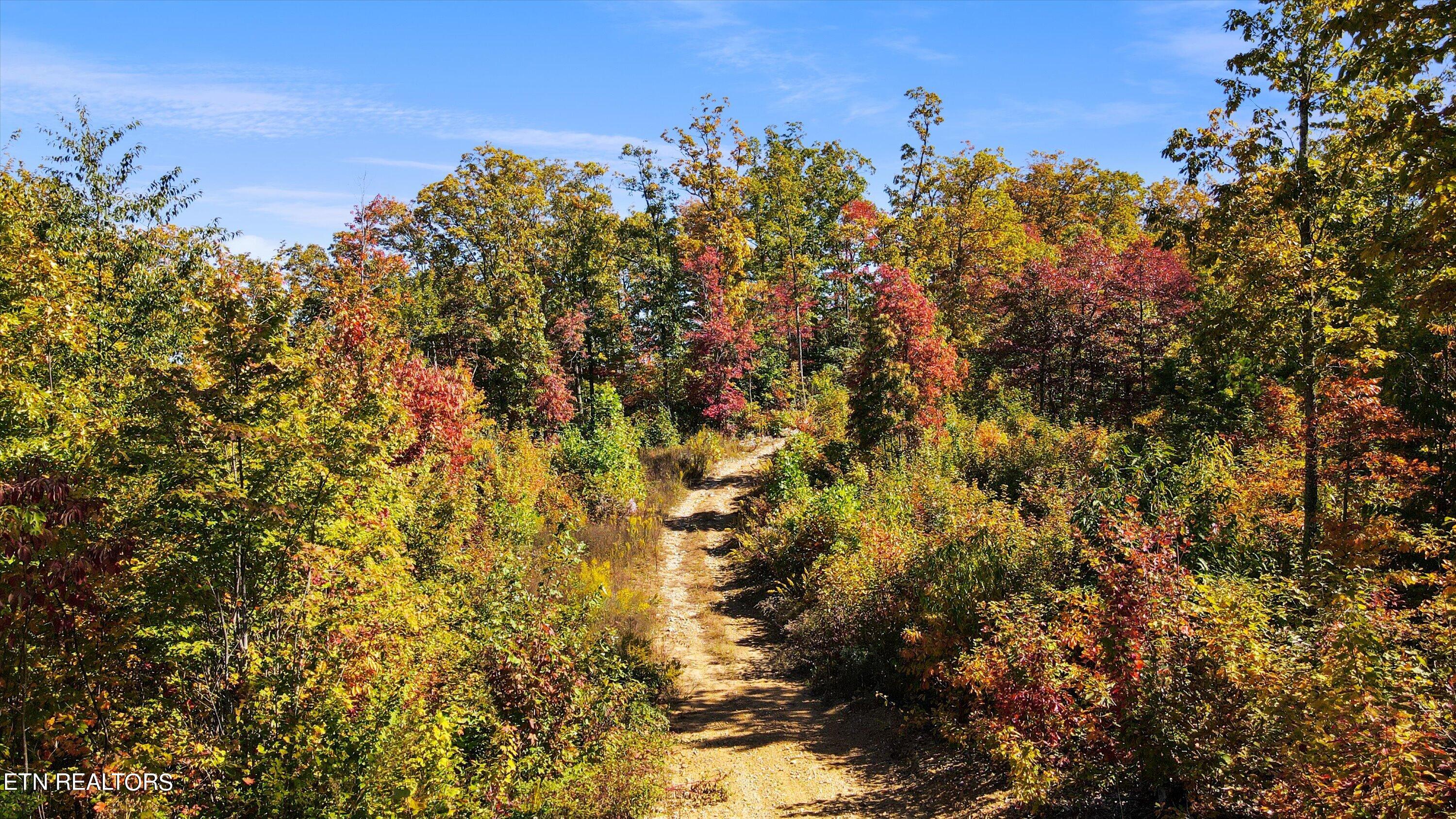 Alpine Drive Sevierville, TN 37876 - Photo 19 of 30 Alpine Drive Updates - 25