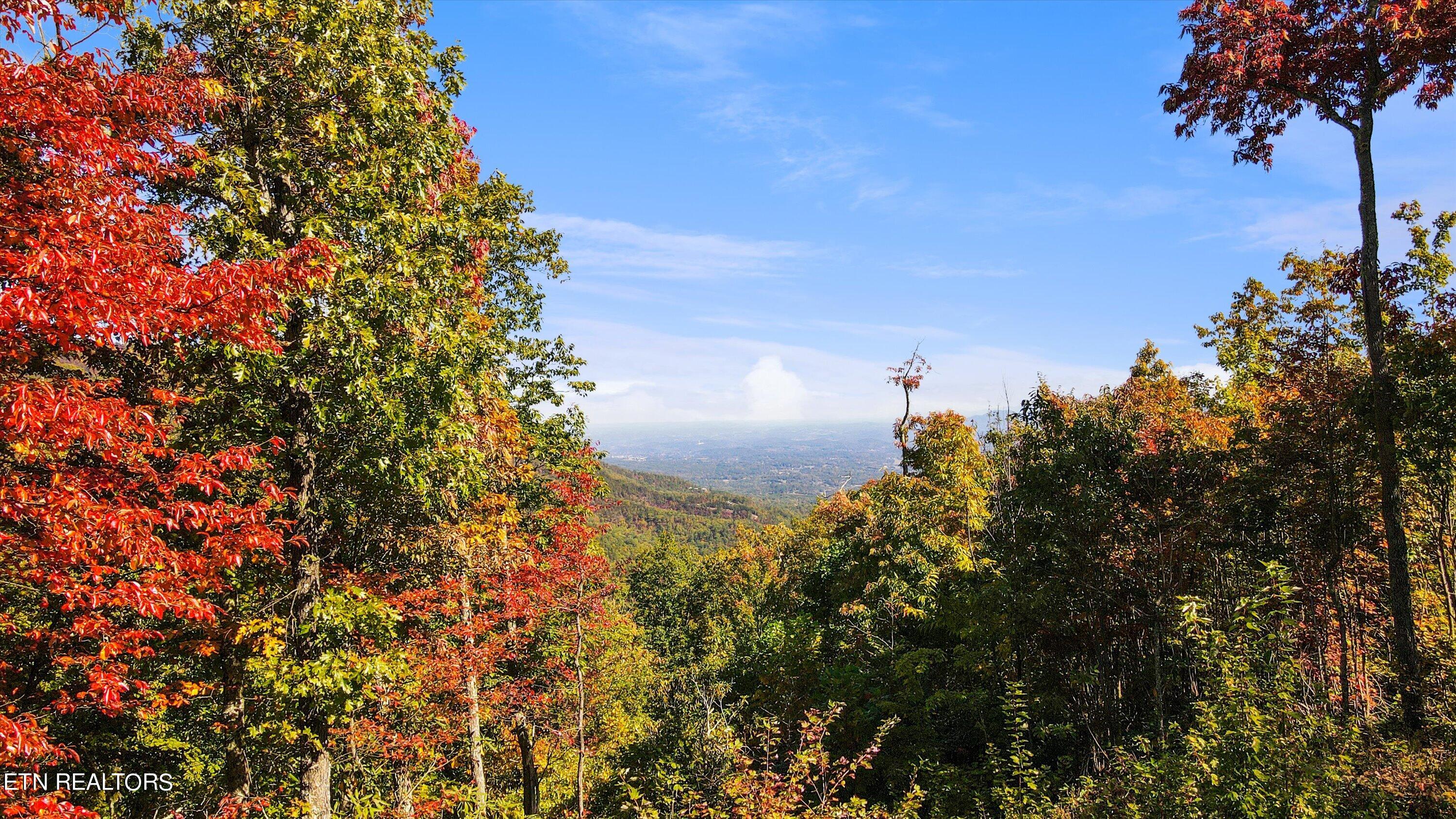 Alpine Drive Sevierville, TN 37876 - Photo 20 of 30 Alpine Drive Updates - 26