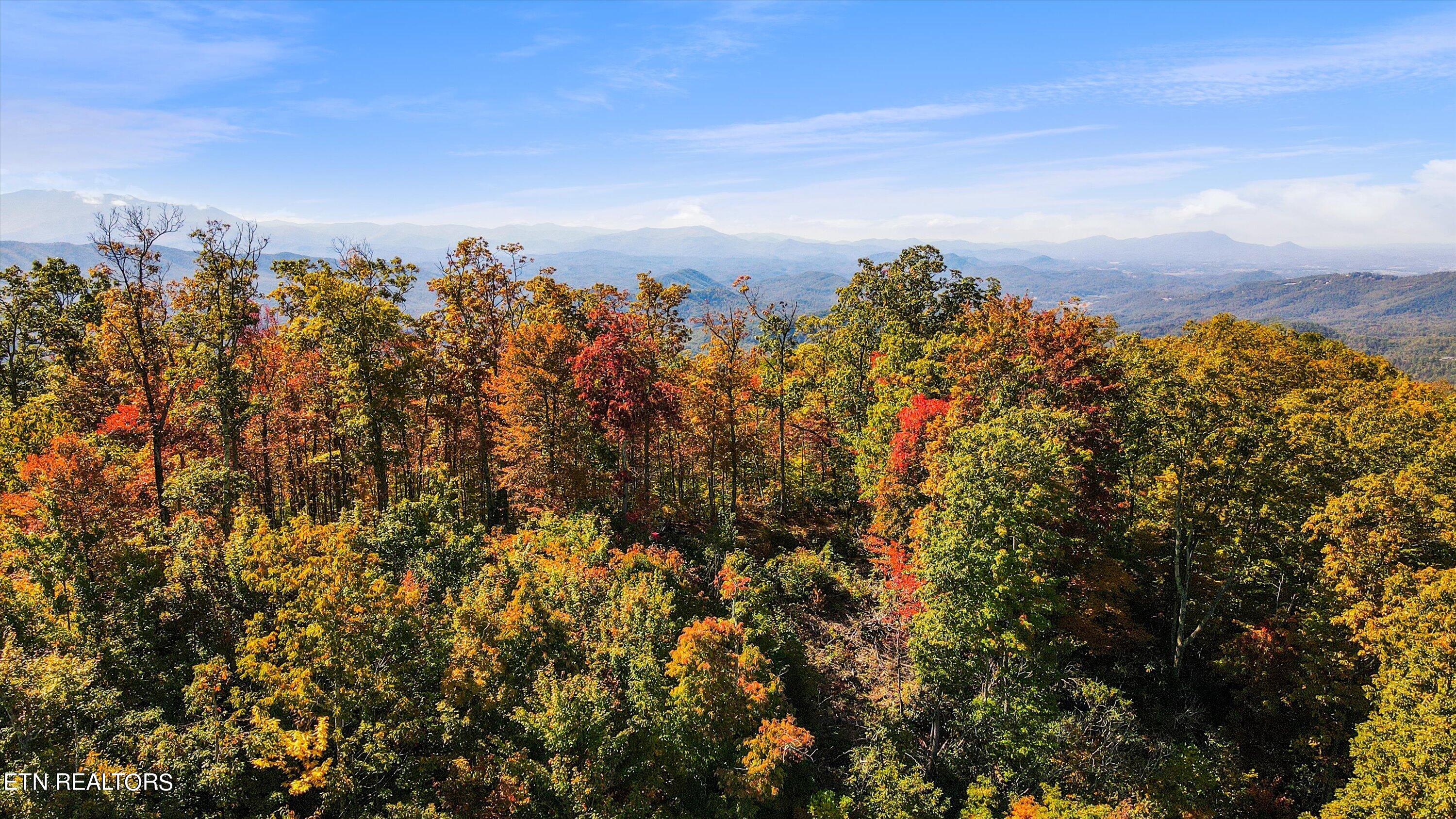Alpine Drive Sevierville, TN 37876 - Photo 22 of 30 Alpine Drive Updates - 28