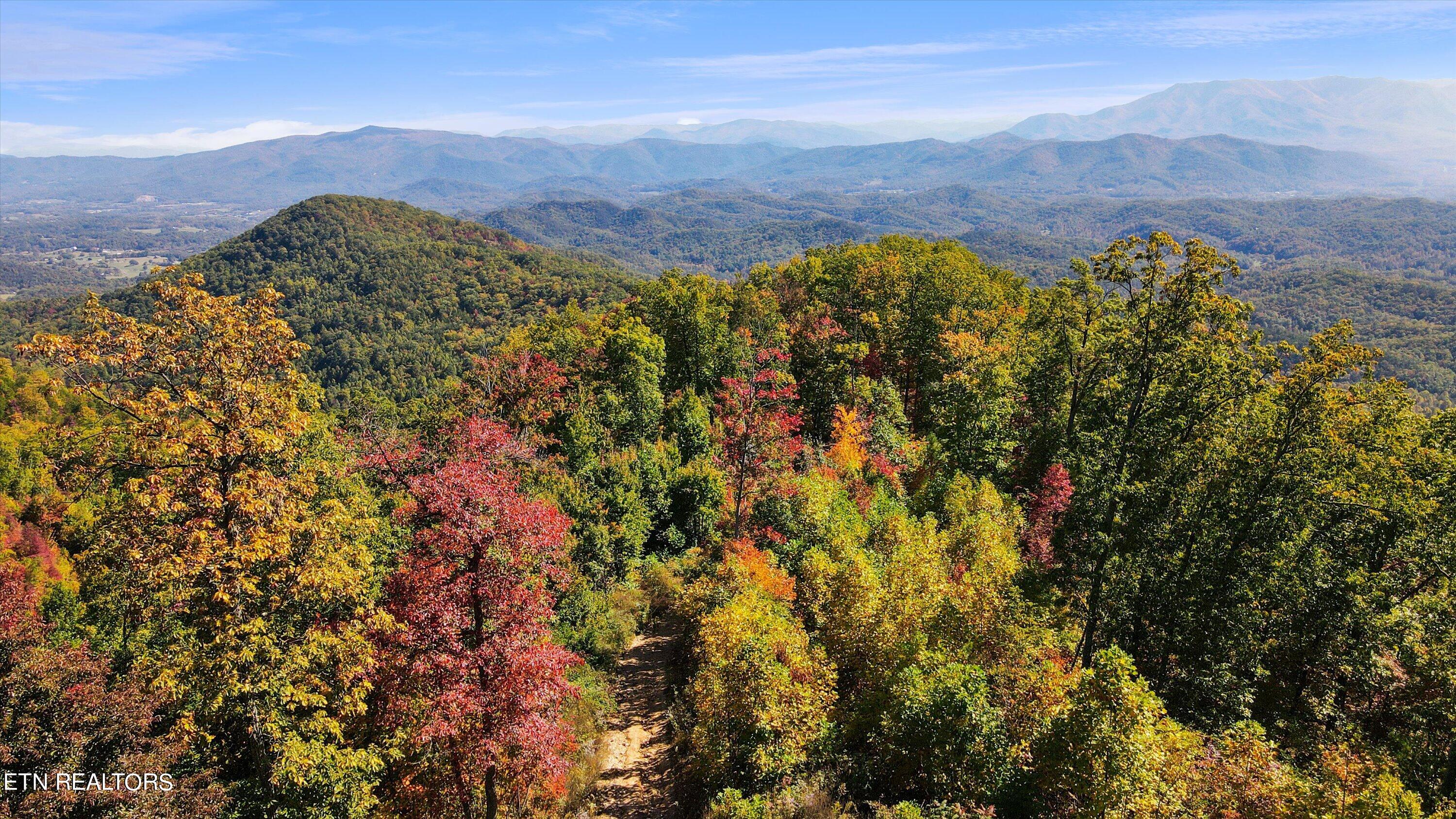 Alpine Drive Sevierville, TN 37876 - Photo 23 of 30 Alpine Drive Updates - 29