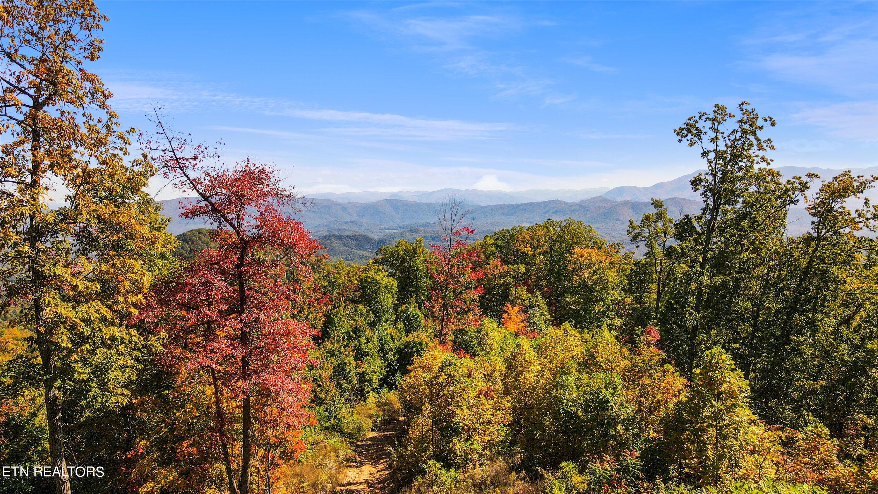 Alpine Drive Sevierville, TN 37876 - Photo 24 of 30 Alpine Drive Updates - 30