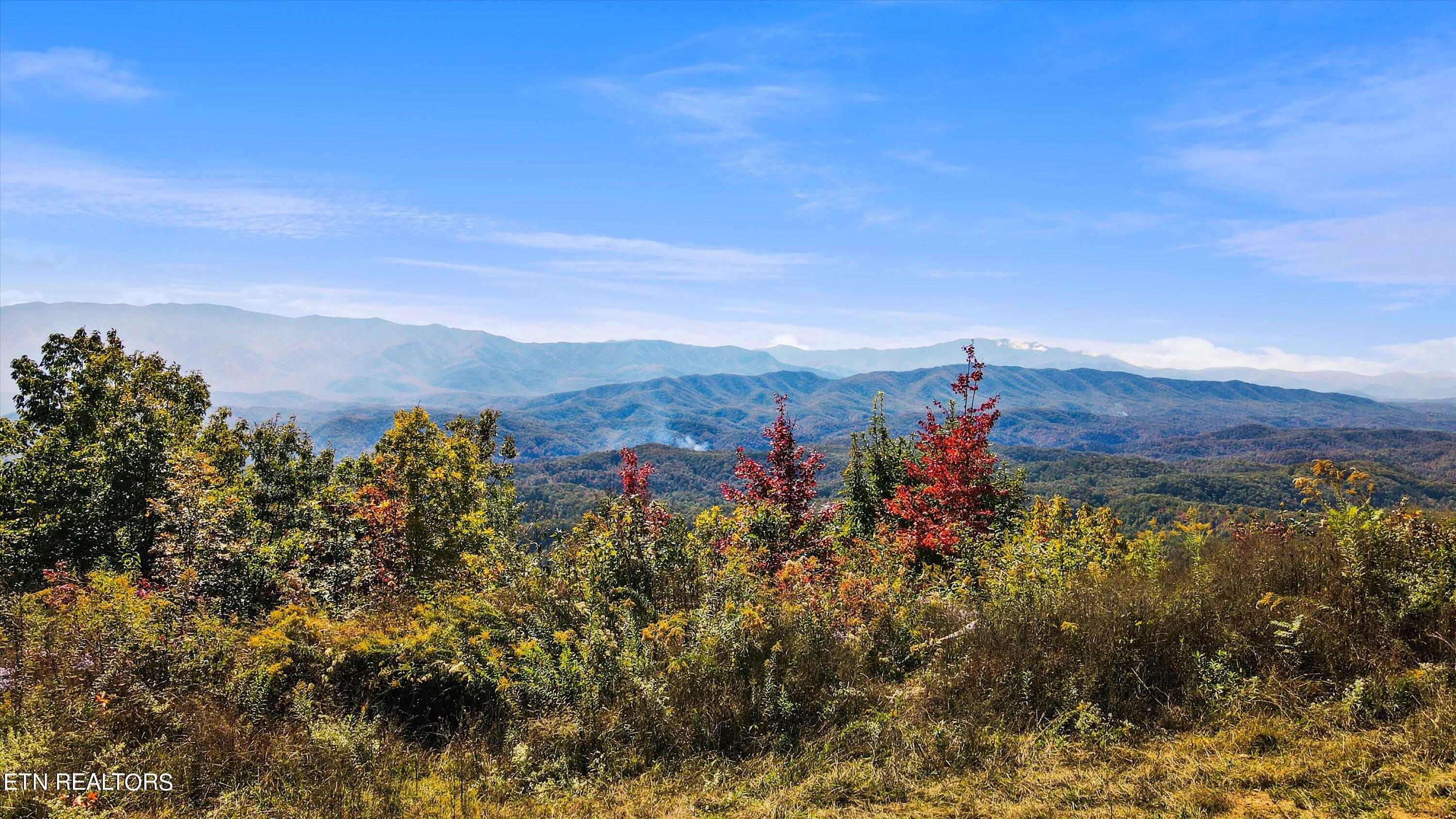 Alpine Drive Sevierville, TN 37876 - Photo 25 of 30 Alpine Drive Updates - 31