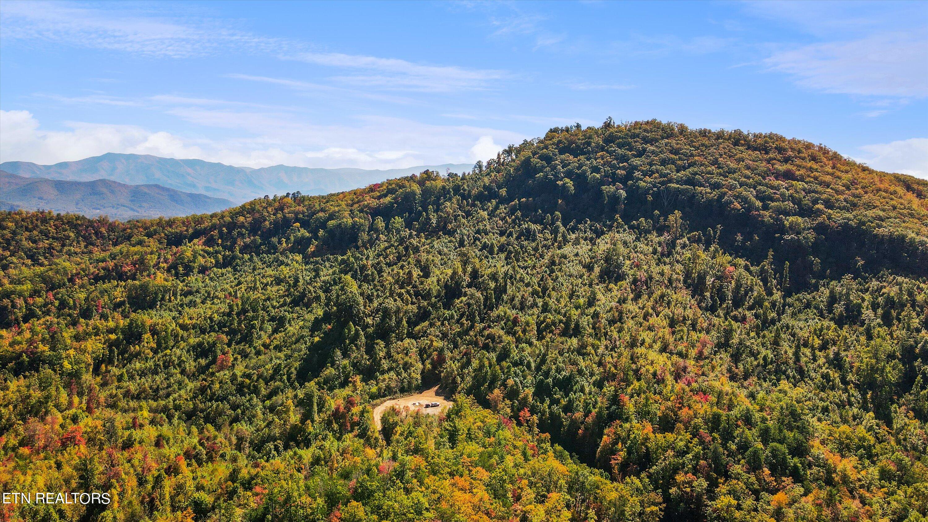 Alpine Drive Sevierville, TN 37876 - Photo 28 of 30 Alpine Drive Updates - 35