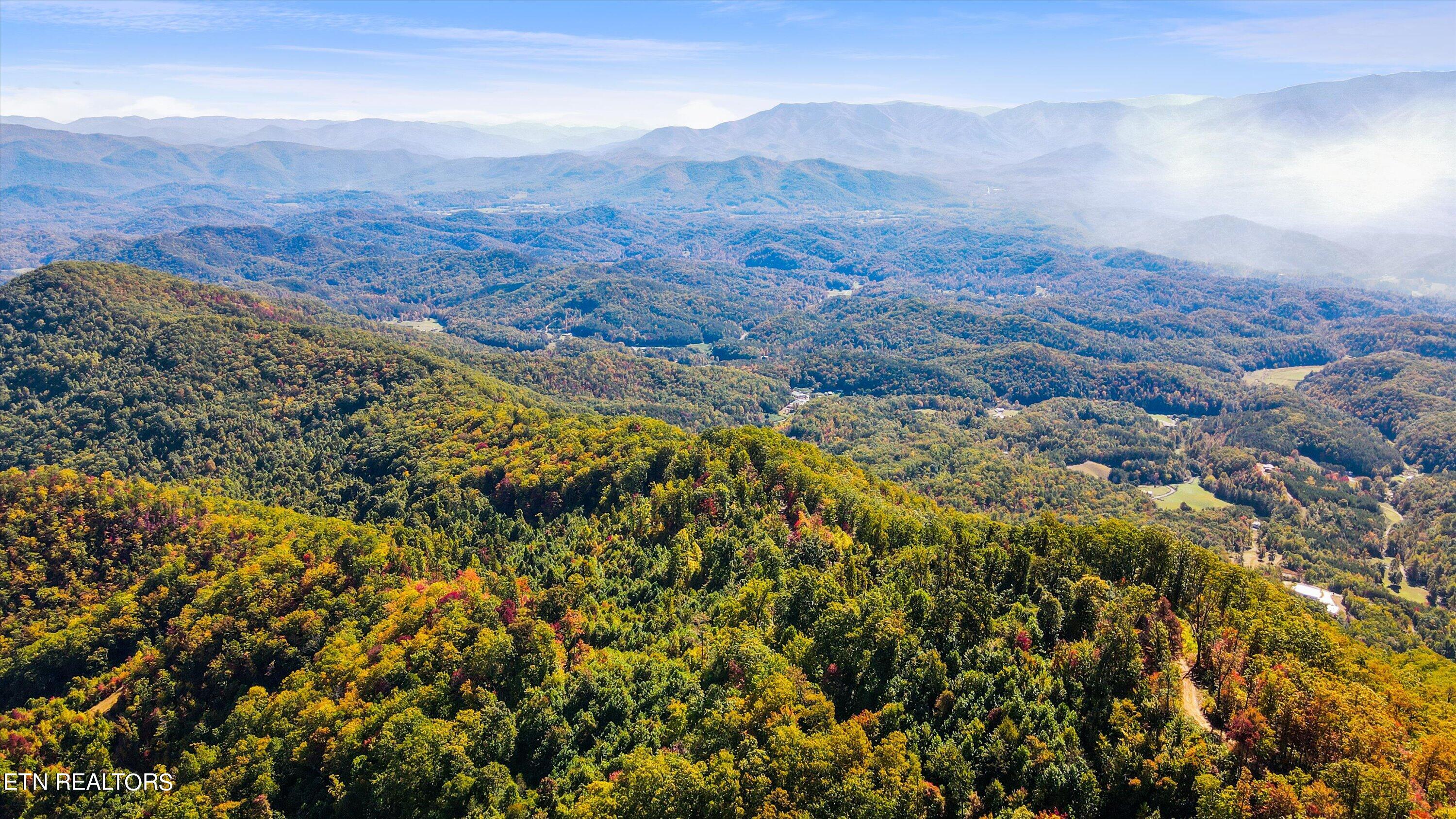 Alpine Drive Sevierville, TN 37876 - Photo 3 of 30 Alpine Drive Updates - 3