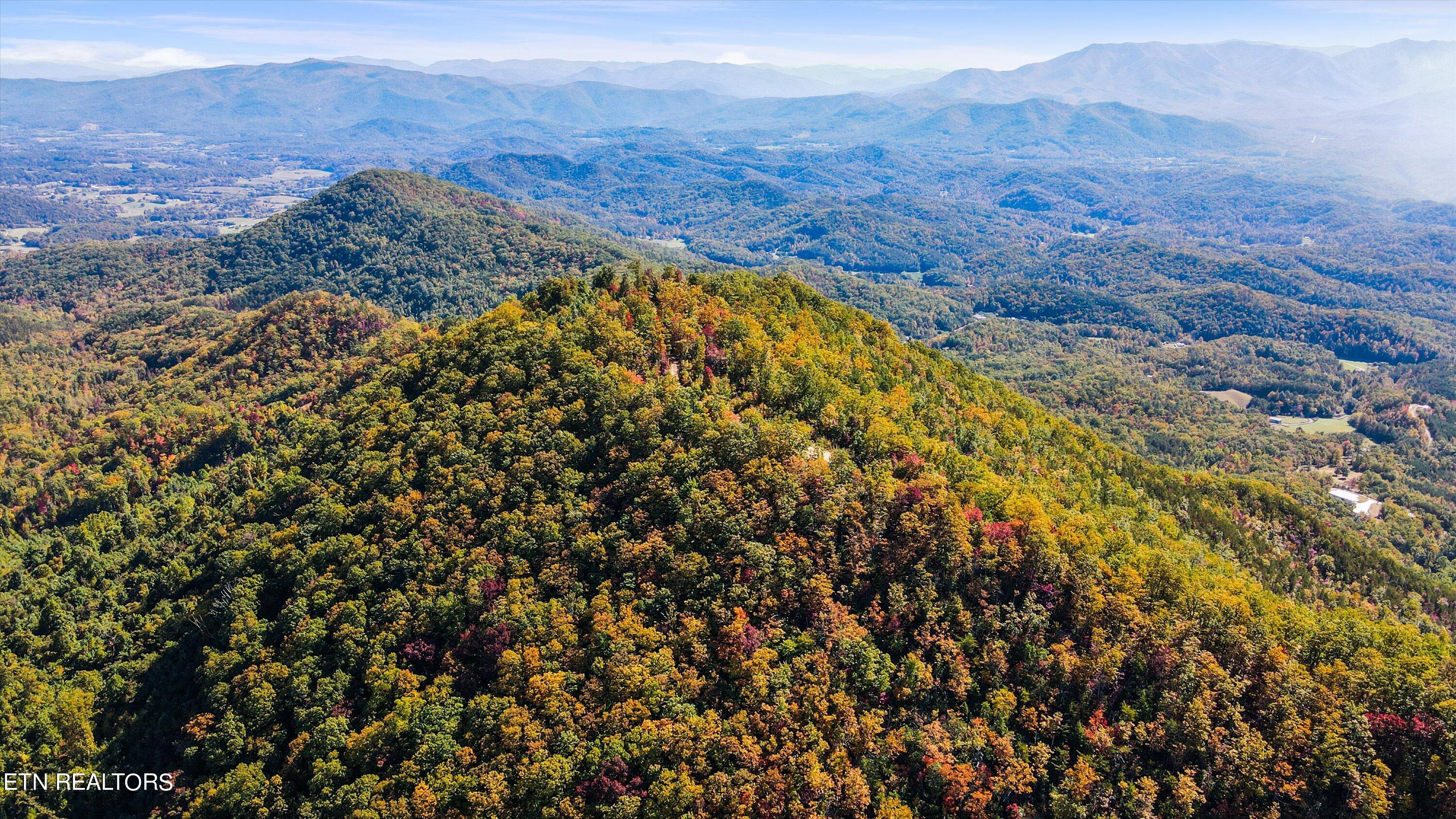 Alpine Drive Sevierville, TN 37876 - Photo 7 of 30 Alpine Drive Updates - 7
