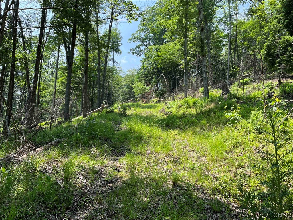 0 Gleason Hollow Road Belfast, NY 14711 - Photo 12 of 27 Gallery Image 12