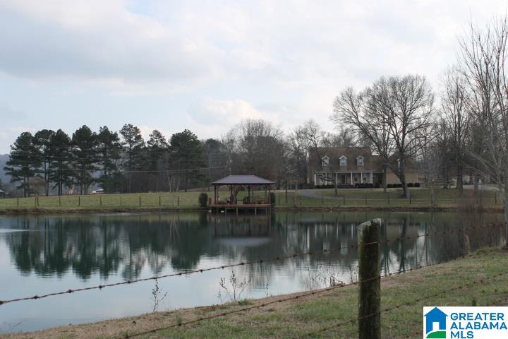 629 Merrill Road Grant, AL 35747 - Photo 5 of 45 Gallery Image 5