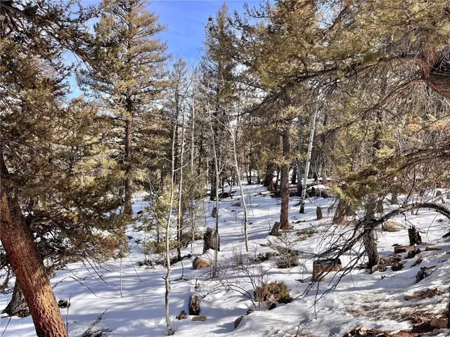 a view of a yard with some trees