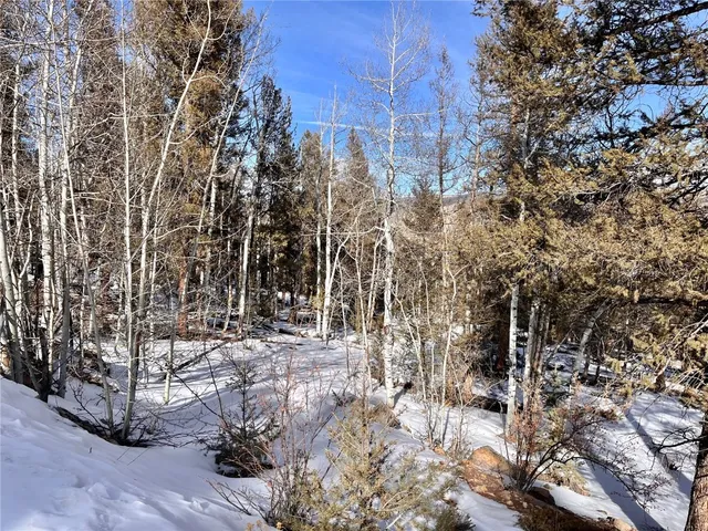 a view of outdoor space with deck and trees