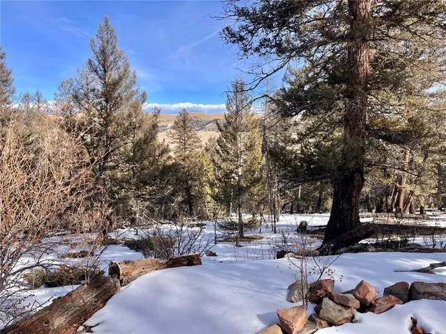a view of backyard with green space