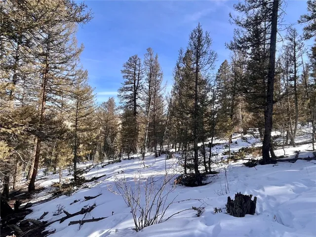 a view of outdoor space with seating area and trees around