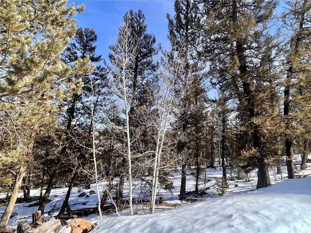 a view of a city with large trees
