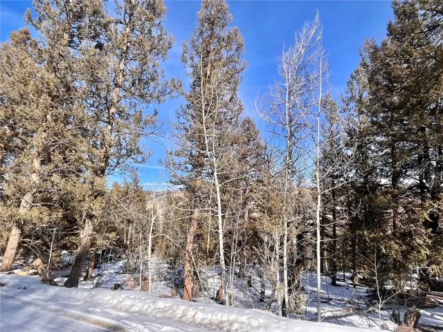 $55,000 | 2834 Middle Fork, Fairplay, CO 80440