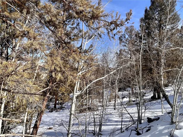 $55,000 | 2834 Middle Fork, Fairplay, CO 80440