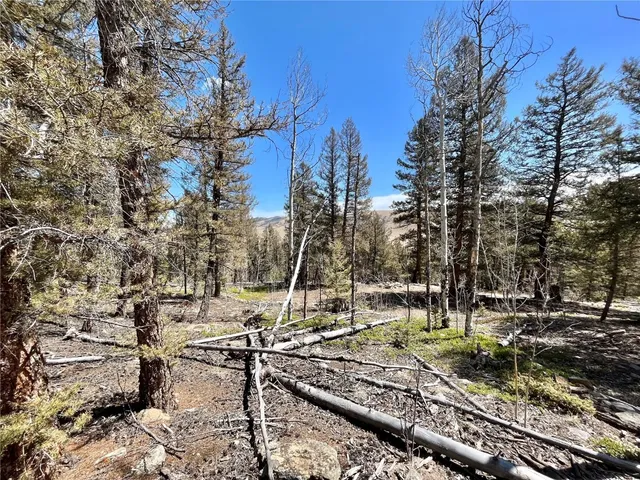 a view of outdoor space with city view