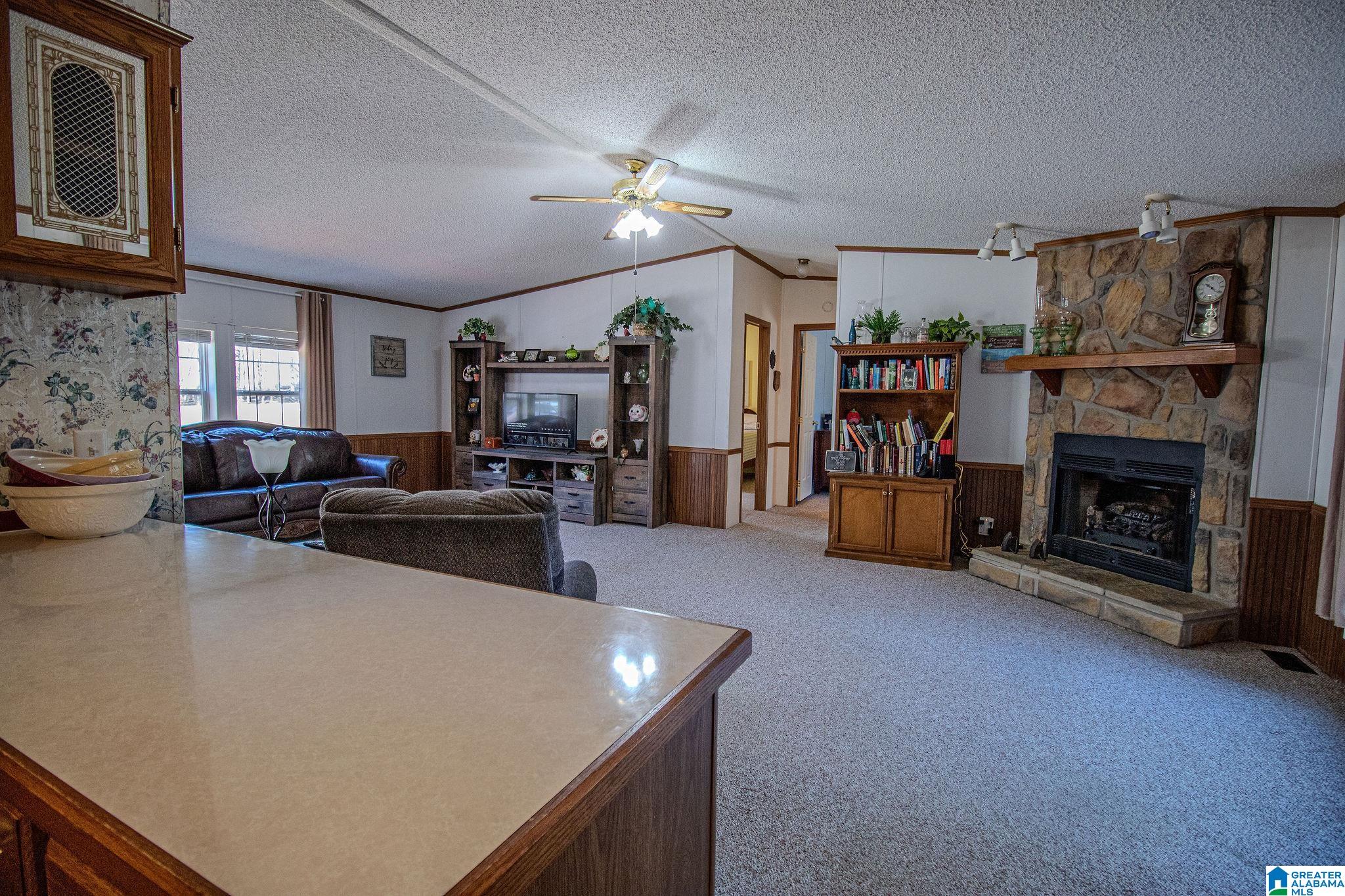 1809 Blue Ridge Road Lineville, AL 36266 - Photo 36 of 69