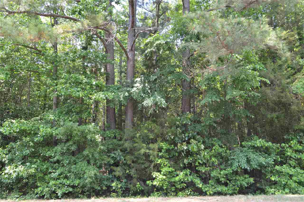 Bodie Currin Road Oxford, NC 27565 - Photo 5 of 7 Photo 5