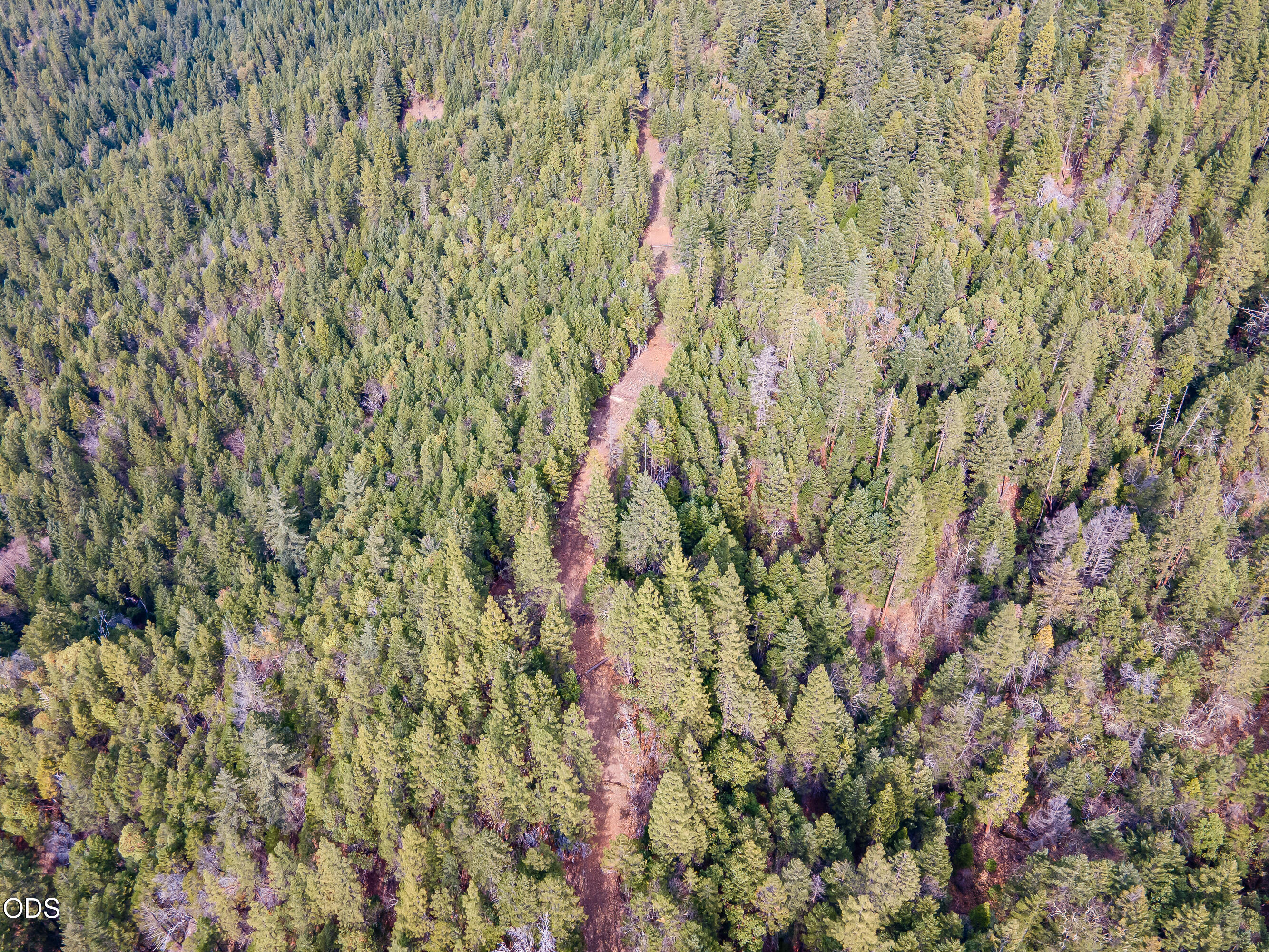 Pleasant Cr Road Rogue River, OR 97537 - Photo 17 of 42