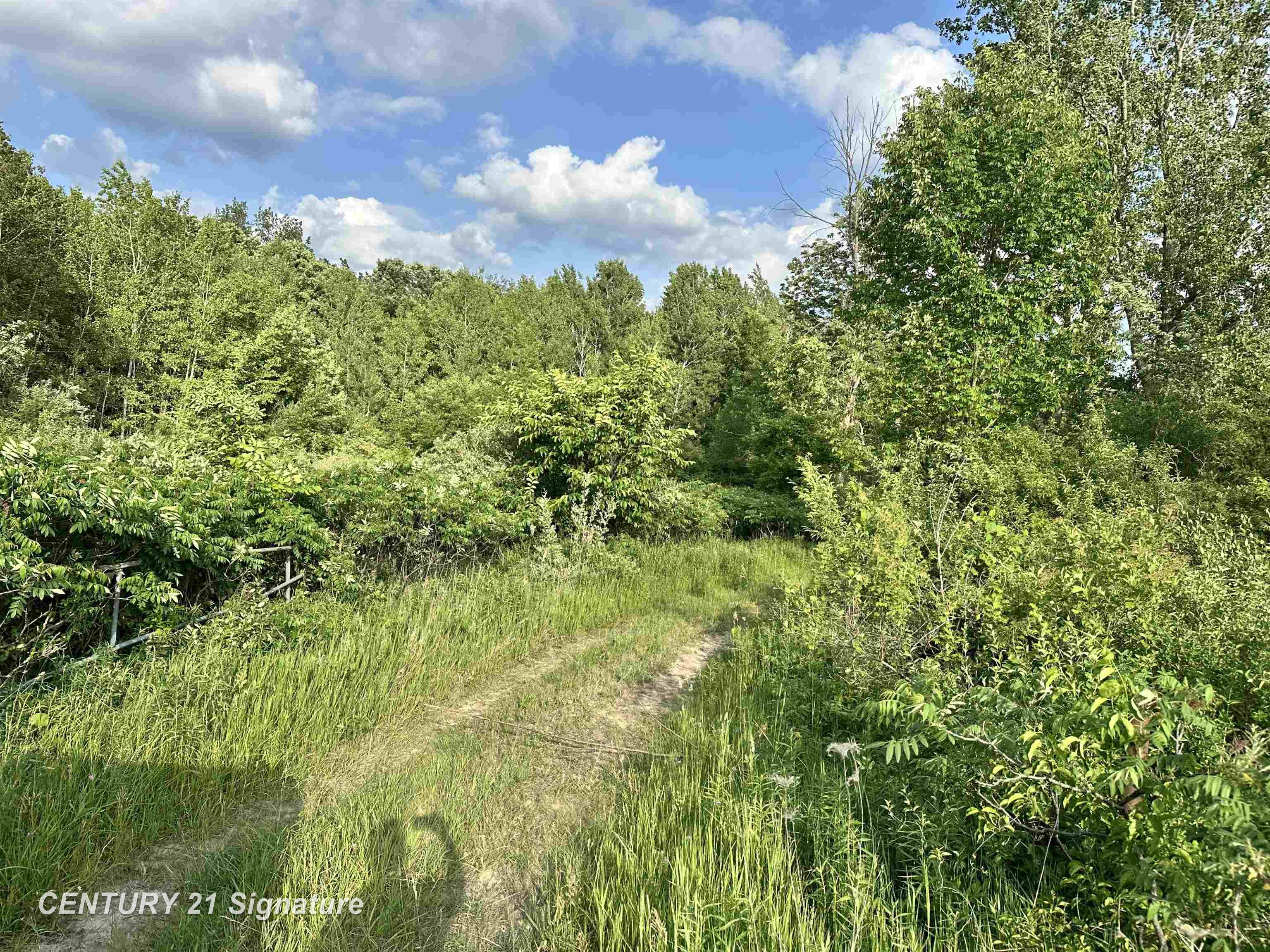 4020 Wieman Road Beaverton, MI 48612 - Photo 13 of 17