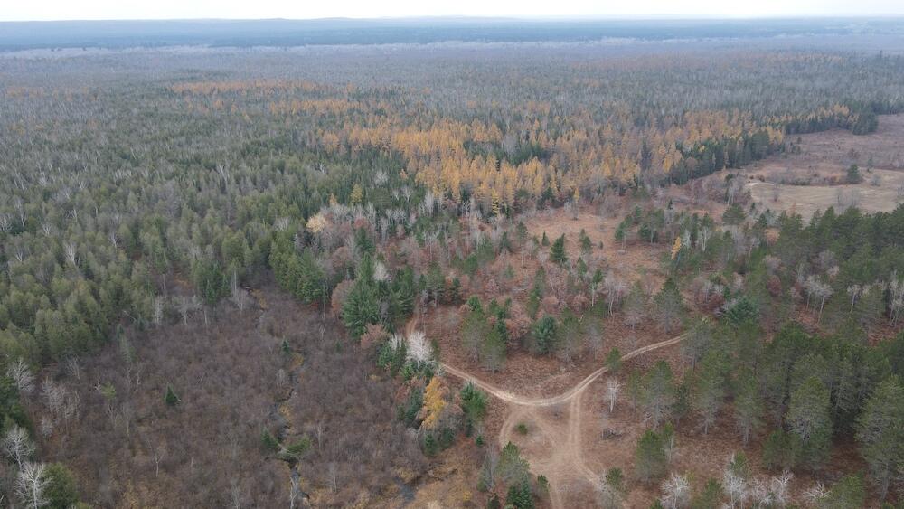 Vl Riverview Road Southeast Kalkaska, MI 49646 - Photo 31 of 40