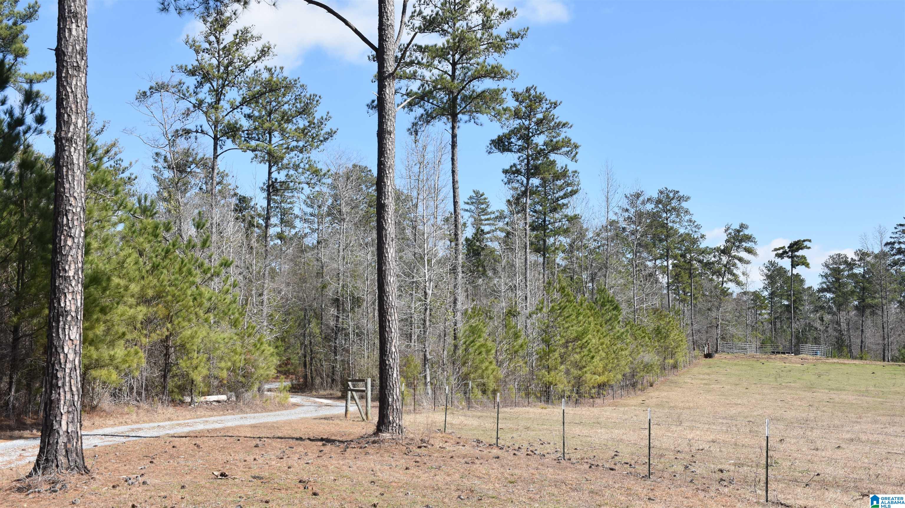 2003 New Maryland Road Alpine, AL 35014 - Photo 31 of 38