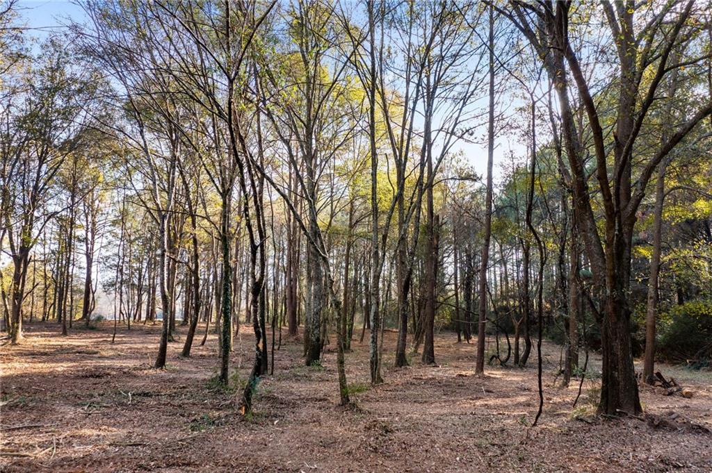 264 Euharlee Road Southwest Cartersville, GA 30120 - Photo 35 of 45 a view of outdoor space with trees