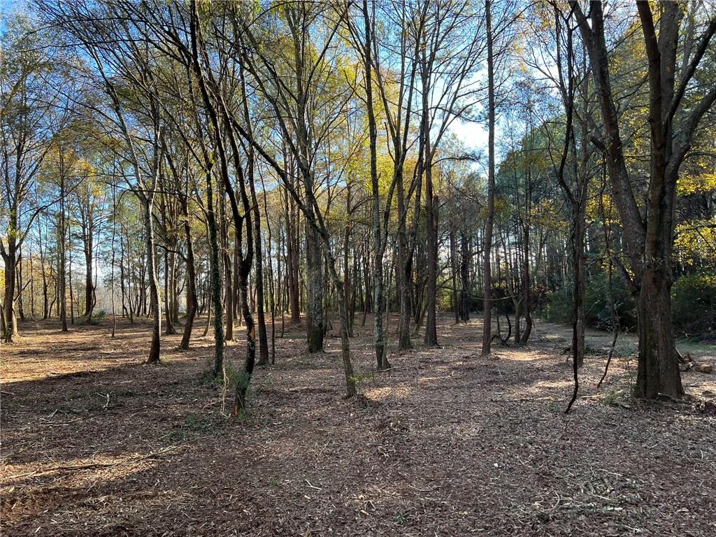 264 Euharlee Road Southwest Cartersville, GA 30120 - Photo 41 of 45 a view of outdoor space with trees